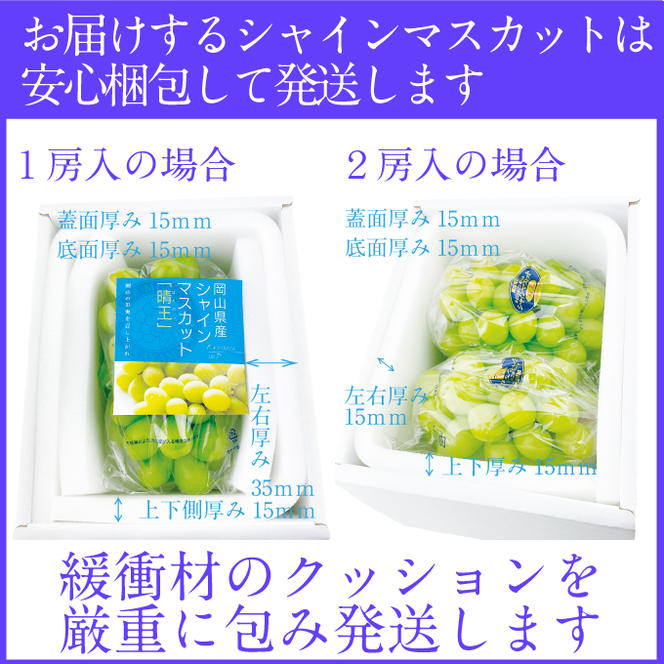 2025年予約受付中 シャインマスカット晴王2房 約1.2kg 7月～8月出荷 人気 岡山県産 種無し 皮ごと食べる みずみずしい フレッシュ 晴れの国 おかやま 果物大国 ハレノフルーツ