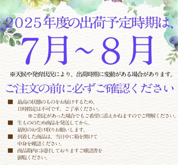 2025年予約受付中 シャインマスカット晴王2房 約1.4kg 7月～8月出荷 人気 岡山県産 種無し 皮ごと食べる みずみずしい フレッシュ 晴れの国 おかやま 果物大国 ハレノフルーツ