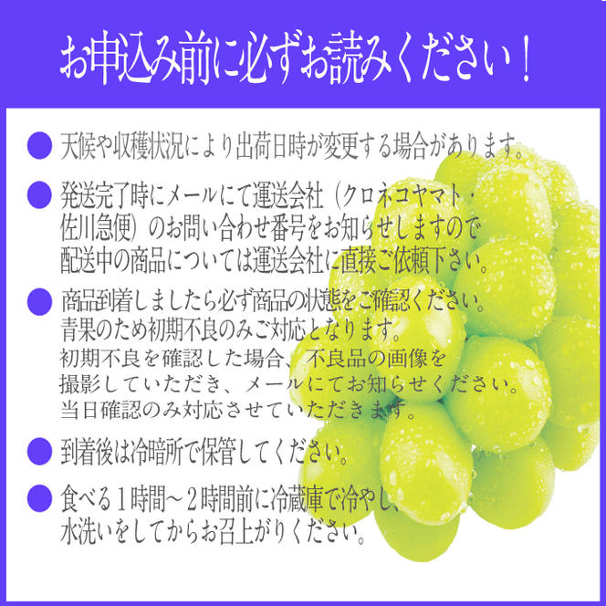 2025年予約受付中【3回定期便】シャインマスカット晴王2房 約1.4kg 7月8月9月に出荷 人気 岡山県産 種無し 皮ごと食べる みずみずしい ハレノフルーツ