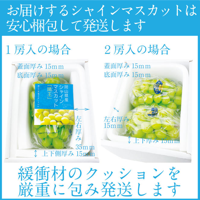 2025年 先行予約受付中【2回定期便】シャインマスカット晴王1房 約650g 岡山県産 種無し 皮ごと食べる みずみずしい 甘い フレッシュ 瀬戸内 晴れの国 おかやま 果物大国 ハレノフルーツ