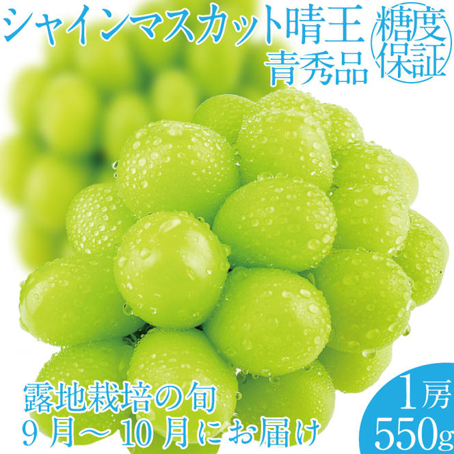 2025年 先行予約受付中 シャインマスカット晴王 1房 約550g 岡山県産 種無し 皮ごと食べる みずみずしい 甘い フレッシュ 瀬戸内 晴れの国 おかやま 果物大国 ハレノフルーツ