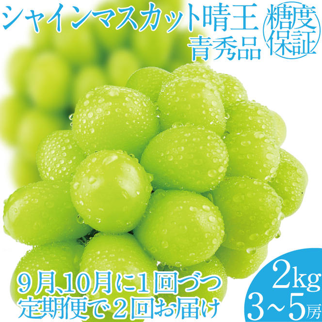 2025年 先行予約受付中【2回定期便】シャインマスカット晴王約2kg(3～5房) 岡山県産 種無し 皮ごと食べる みずみずしい 甘い フレッシュ 瀬戸内 晴れの国 おかやま 果物大国 ハレノフルーツ