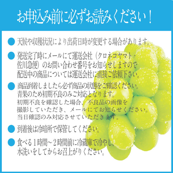 2025年 先行予約受付中【2回定期便】シャインマスカット晴王約2kg(3～5房) 岡山県産 種無し 皮ごと食べる みずみずしい 甘い フレッシュ 瀬戸内 晴れの国 おかやま 果物大国 ハレノフルーツ