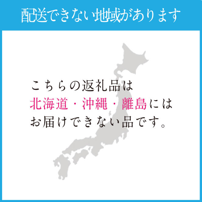 2025年 先行予約受付中【2回定期便】シャインマスカット晴王約2kg(3～5房) 岡山県産 種無し 皮ごと食べる みずみずしい 甘い フレッシュ 瀬戸内 晴れの国 おかやま 果物大国 ハレノフルーツ