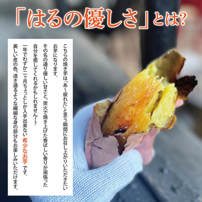 【Satsumaimo365】【さつまいも博】はるの優しさ　フローズンヤキイモ（約1kg）（YD-2）