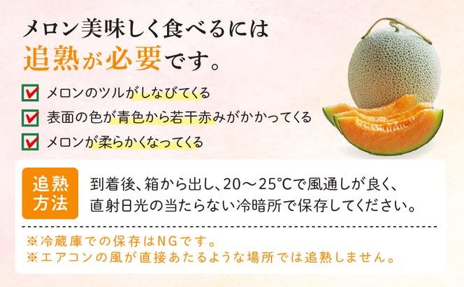 【2025年7月下旬～発送】※訳あり※ 富良野 メロン 約4kg〈2玉～4玉入り〉北海道 富良野市(スイートベジタブルファクトリー) メロン フルーツ 果物 新鮮 甘い 贈り物 ギフト 道産 ジューシー おやつ ふらの ブランド 夏