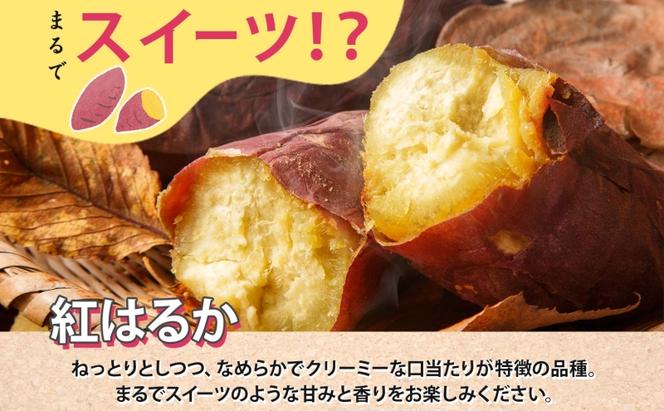 さつまいも 紅はるか 土付き 5kg 栽培期間中 化学肥料不使用 サツマイモ さつま芋 スイートポテト 野菜 旬 芋 甘い お取り寄せ 産地直送 産直 農場 人気 送料無料 マルイシすはら農園 岐阜県 美濃市