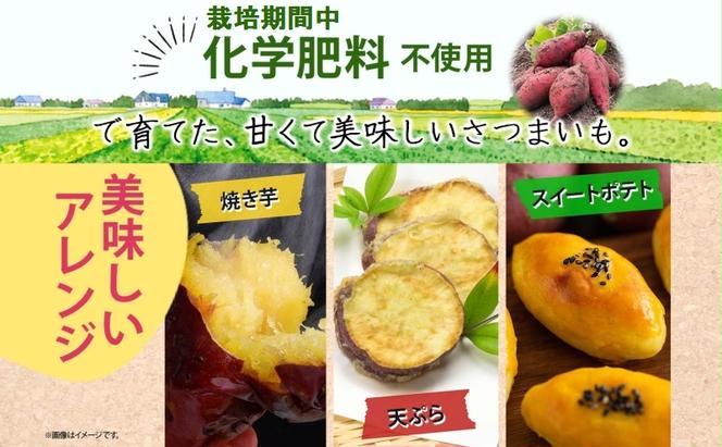 さつまいも 紅はるか 土付き 5kg 栽培期間中 化学肥料不使用 サツマイモ さつま芋 スイートポテト 野菜 旬 芋 甘い お取り寄せ 産地直送 産直 農場 人気 送料無料 マルイシすはら農園 岐阜県 美濃市