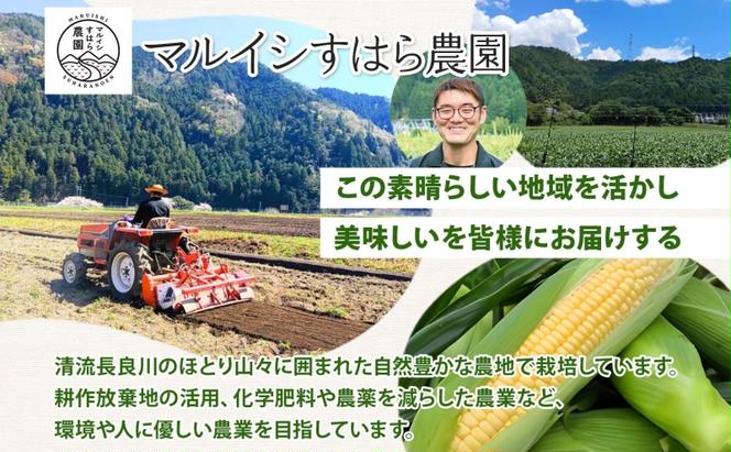 さつまいも 紅はるか 土付き 5kg 栽培期間中 化学肥料不使用 サツマイモ さつま芋 スイートポテト 野菜 旬 芋 甘い お取り寄せ 産地直送 産直 農場 人気 送料無料 マルイシすはら農園 岐阜県 美濃市