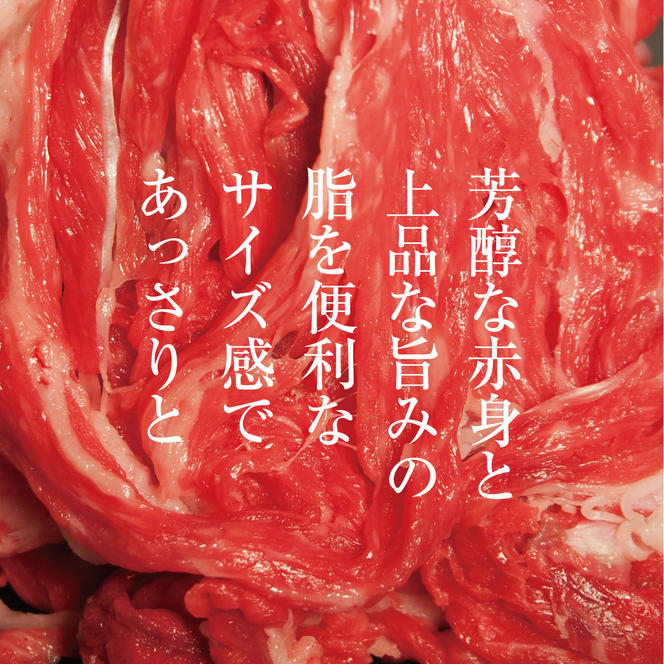 京都府産 京都もり牛 和牛 小間切れ 800g  カレー シチュー 牛丼 焼肉 鍋 バーベキュー 焼き肉 冷凍 牛肉 肉 国産牛 京都 国産 ギフト 黒毛和牛　南丹市×「甘神さんちの縁結び」コラボクリアファイルとコースターのセット付き！