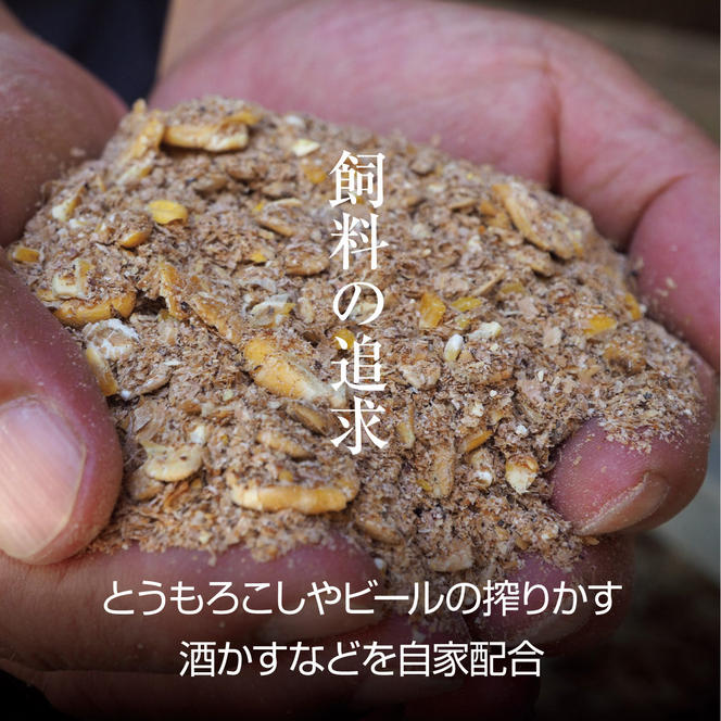 京都府産 京都もり牛 和牛 小間切れ 800g  カレー シチュー 牛丼 焼肉 鍋 バーベキュー 焼き肉 冷凍 牛肉 肉 国産牛 京都 国産 ギフト 黒毛和牛　南丹市×「甘神さんちの縁結び」コラボクリアファイルとコースターのセット付き！