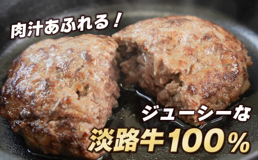 淡路島 極味ハンバーグ 150g×12個【2025年3月より順次発送】