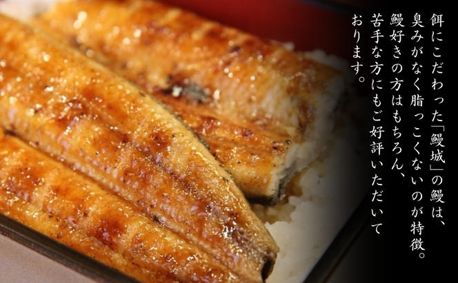 鰻 国産 うなぎの蒲焼き 1尾入（特製タレ付） / 鰻城 うなぎ ウナギ 蒲焼 簡単調理 時短 電子レンジ