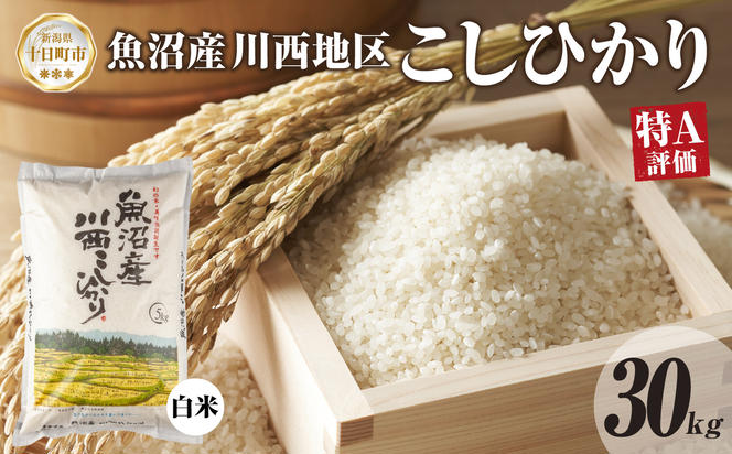 魚沼産 川西 こしひかり 30kg 精米 米 コメ お米 ごはん ご飯 白米 おにぎり 炊き立て ブランド米 コシヒカリ 新潟県産 魚沼 人気 国産 産地直送 お取り寄せ 送料無料 新潟県 十日町