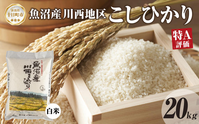 魚沼産 川西 こしひかり 20kg 精米 米 コメ お米 ごはん ご飯 白米 おにぎり 炊き立て ブランド米 コシヒカリ 新潟県産 魚沼 人気 国産 産地直送 お取り寄せ 送料無料 新潟県 十日町