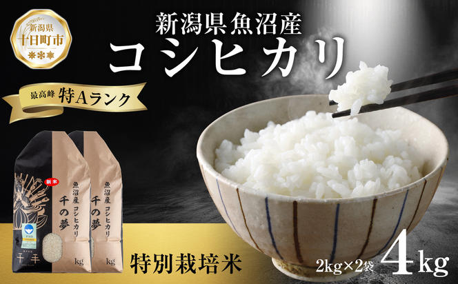 魚沼産 コシヒカリ 特別栽培米 精米 4kg 米 コメ お米 ごはん ご飯 白米 こしひかり 新潟県産 魚沼 人気 国産 産地直送 お取り寄せ 送料無料 新潟県 十日町