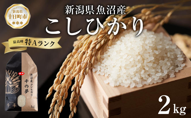 魚沼産 コシヒカリ 精米 2kg 米 コメ お米 ごはん ご飯 白米 こしひかり 新潟県産 魚沼 人気 国産 産地直送 お取り寄せ 送料無料 新潟県 十日町