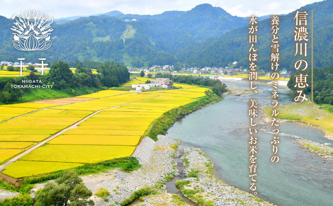 魚沼産 コシヒカリ 精米 2kg 米 コメ お米 ごはん ご飯 白米 こしひかり 新潟県産 魚沼 人気 国産 産地直送 お取り寄せ 送料無料 新潟県 十日町