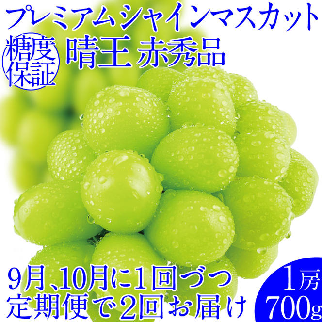 2025年予約受付中【2回定期便】 プレミアムシャインマスカット晴王 1房約700g/人気 岡山県産 赤秀品  種無し 皮ごと食べる みずみずしい 9月・10月にお届け   ハレノフルーツ