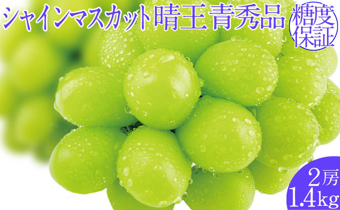 2025年予約受付中 シャインマスカット晴王 7月～8月出荷 2房 約1.4kg  人気 岡山県産 種無し 皮ごと食べる みずみずしい  フレッシュ 晴れの国 おかやま 果物大国 ハレノフルーツ