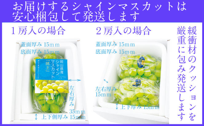 2025年予約受付中【2回定期便】シャインマスカット晴王 2房 約1.2kg 7月8月に出荷 人気 岡山県産 種無し 皮ごと食べる みずみずしい   おかやま 果物大国 ハレノフルーツ