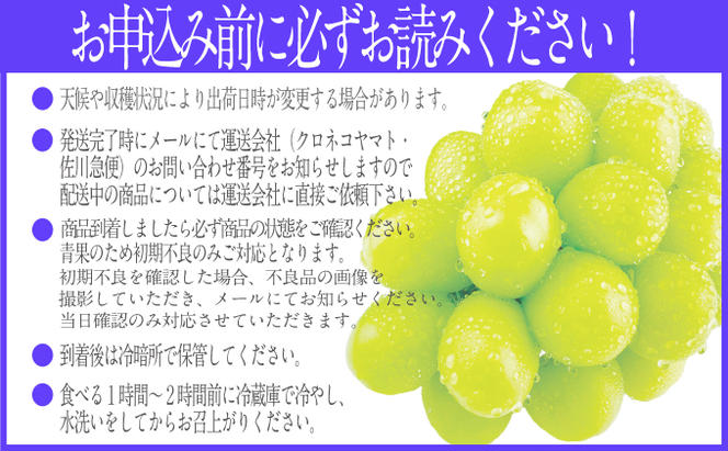 2025年予約受付中【2回定期便】シャインマスカット晴王 2房 約1.2kg 7月8月に出荷 人気 岡山県産 種無し 皮ごと食べる みずみずしい   おかやま 果物大国 ハレノフルーツ