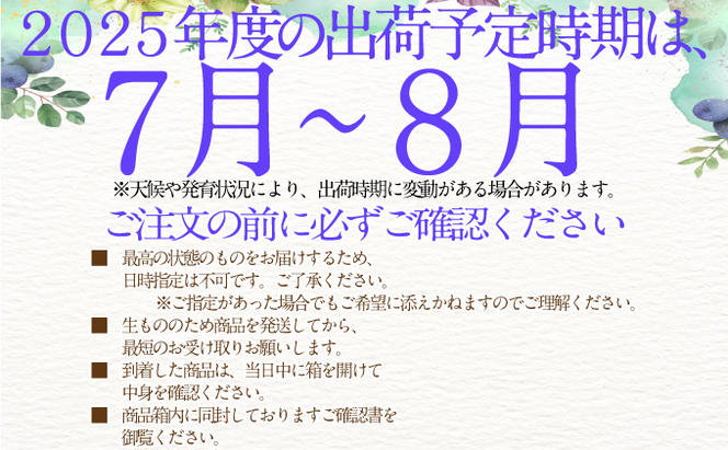 2025年予約受付中【2回定期便】シャインマスカット晴王2房 約1.4kg 7月8月に出荷 人気 岡山県産 種無し 皮ごと食べる みずみずしい  フレッシュ 晴れの国 おかやま 果物大国 ハレノフルーツ