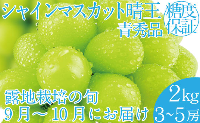 2025年 先行予約受付中 シャインマスカット晴王 約2kg(3～5房） 岡山県産 種無し 皮ごと食べる みずみずしい 甘い フレッシュ 瀬戸内 晴れの国 おかやま 果物大国 ハレノフルーツ