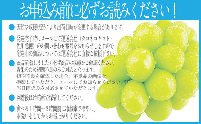 2025年 先行予約受付中【2回定期便】シャインマスカット晴王1房 約750g×2回 岡山県産 種無し 皮ごと食べる みずみずしい 甘い フレッシュ 瀬戸内 晴れの国 おかやま 果物大国 ハレノフルーツ