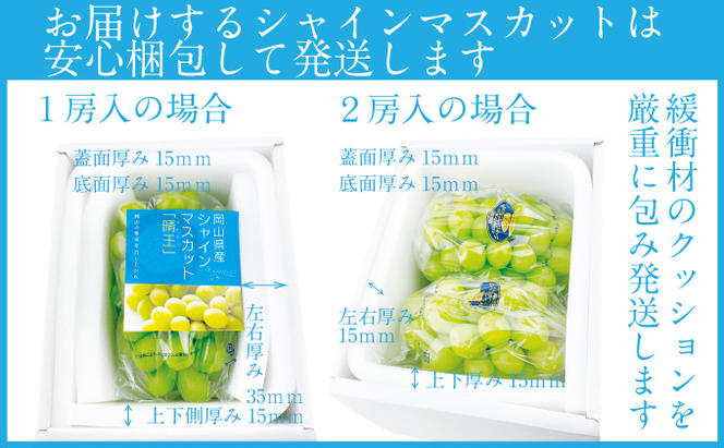 2025年 先行予約受付中【2回定期便】 シャインマスカット晴王 2房 約1.1kg 岡山県産 種無し 皮ごと食べる みずみずしい 甘い フレッシュ 瀬戸内 晴れの国 おかやま 果物大国 ハレノフルーツ