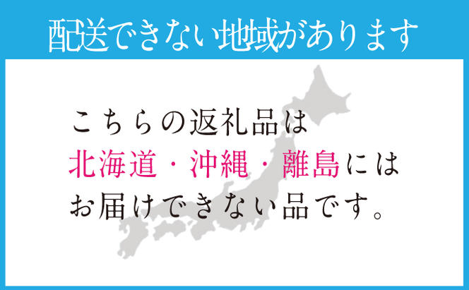2025年 先行予約受付中【2回定期便】シャインマスカット晴王2房 約1.3kg 岡山県産 種無し 皮ごと食べる みずみずしい 甘い フレッシュ 瀬戸内 晴れの国 おかやま 果物大国 ハレノフルーツ