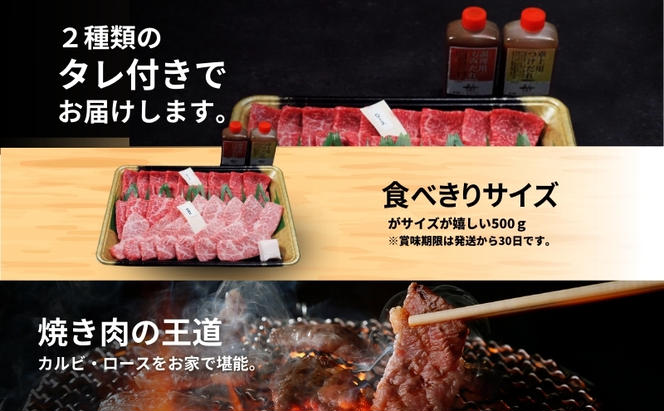 京の肉 焼き肉用カルビ・ロース 食べ比べセット 500g タレ付　南丹市×「甘神さんちの縁結び」コラボクリアファイルとコースターのセット付き！