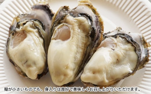 先行予約 愛南かき （ むき身 500g ・ 殻付 1kg ） 10000円 牡蠣 身がき むき身 殻付き かき カキ オイスター 鍋 カキフライ ミルク ソテー クリームシチュー グラタン 牡蠣鍋 蒸し 酒蒸し オイル漬 塩辛 冷蔵 国産 産地直送 期間限定 数量限定 特産品 海鮮 魚介 養殖 人気 限定 愛南町 愛媛県