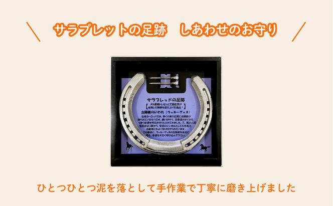 【JRA/日本中央競馬会】栗東トレーニング・センターで競走馬が使用した蹄鉄と蹄釘のセット　【サラブレットの足跡　しあわせのお守り】