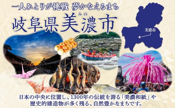 美濃手すき和紙 透かし入り 御城印「小倉山城址」