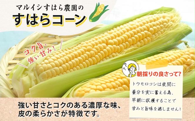 朝採り とうもろこし すはらコーン 8～12本 トウモロコシ イエロー 玉蜀黍 コーン 野菜 旬 夏野菜 甘い 朝採れ 人気 自家用 ギフト 手土産 贈答用 お取り寄せ 産地直送 産直 送料無料 マルイシすはら農園 岐阜県 美濃市