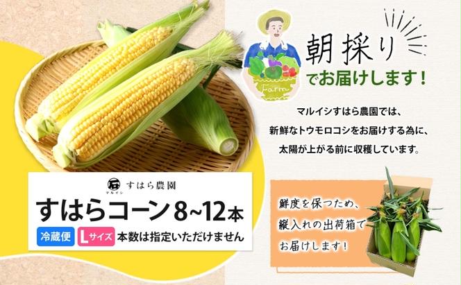 朝採り とうもろこし すはらコーン 8～12本 トウモロコシ イエロー 玉蜀黍 コーン 野菜 旬 夏野菜 甘い 朝採れ 人気 自家用 ギフト 手土産 贈答用 お取り寄せ 産地直送 産直 送料無料 マルイシすはら農園 岐阜県 美濃市