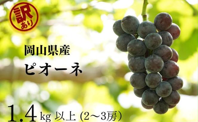 訳あり ニューピオーネ　2～3房 合計1.4kg以上 産地直送 朝採れ ぶどう 葡萄 岡山 Kawahara Green Farm 岡山県産 2025