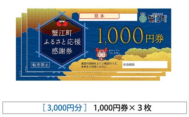 【右大臣】感謝券 3000円分 1000円×3枚 愛知県 蟹江町