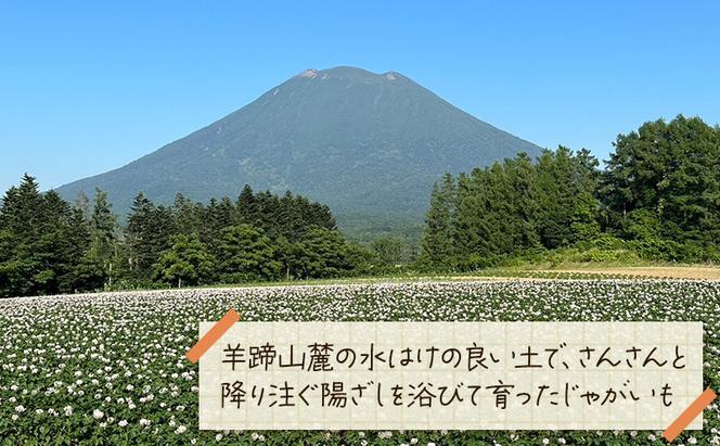 北海道 倶知安 じゃがいも 男爵 5kg リストファーム サイズ 混合 馬鈴薯 芋 ポテト イモ 産地直送 野菜