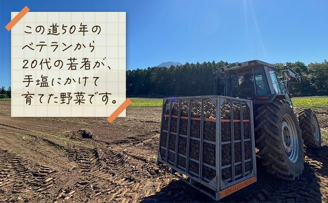 北海道 倶知安 じゃがいも 男爵 10kg リストファーム サイズ 混合 馬鈴薯 芋 ポテト イモ 産地直送 野菜