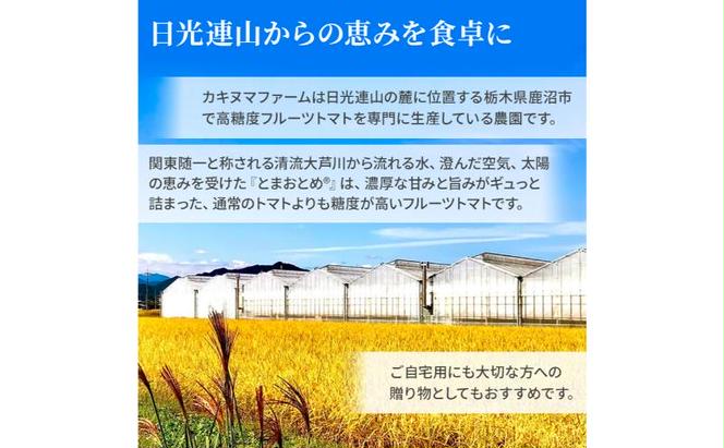 【定期便 連続5カ月】 栃木県 鹿沼産 高糖度 フルーツトマト ”とまおとめ” 食べ比べ 1kg×5回  1月中旬～5月下旬  野菜 トマト カキヌマファーム アイコ フルティカ アルル イエローアイコ 濃厚 甘み 旨み 入手困難