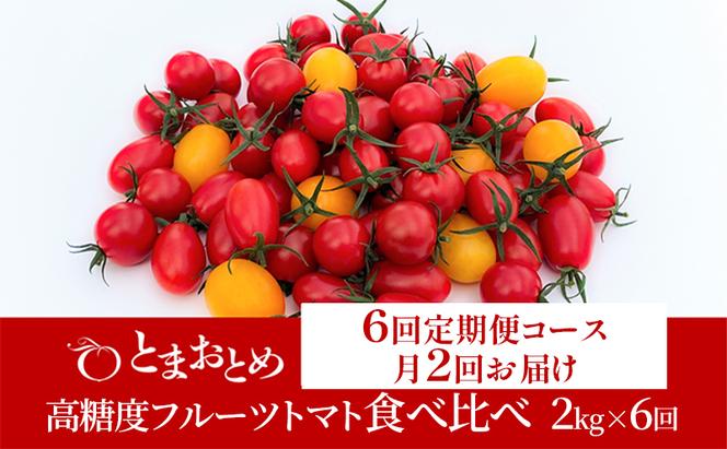 【 定期便 月2回 計6回 】 栃木県 鹿沼産 高糖度 フルーツトマト ”とまおとめ” 食べ比べ 2kg×6回 1月中旬～5月下旬 野菜 トマト カキヌマファーム アイコ フルティカ アルル イエローアイコ 濃厚 甘み 旨み 入手困難