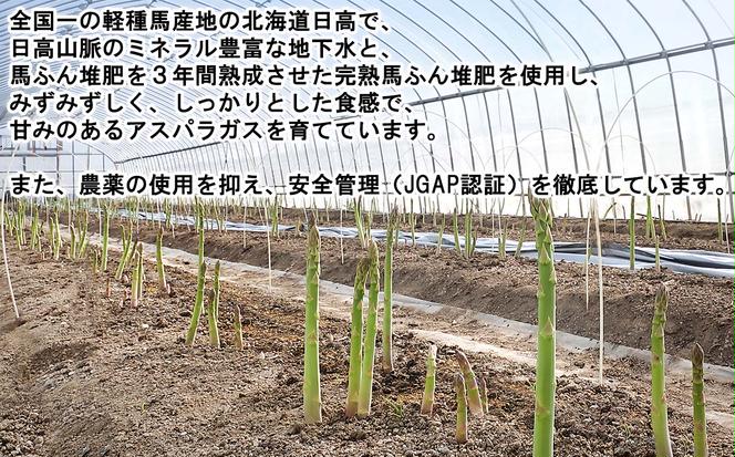 ＜6月15日までの受付＞ 北海道産 春採り グリーン アスパラガス 3kg Mサイズ ＜2025年4月中旬より発送＞