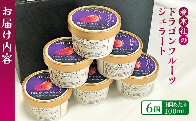 養本社のドラゴンフルーツジェラート　6個入 お菓子 