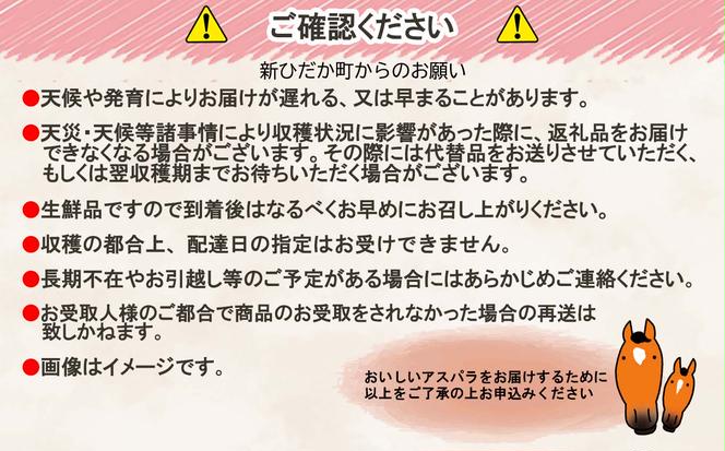 ＜先行予約＞ 北海道産 春採り ムラサキ アスパラガス 1kg 3Lサイズ 以上 ＜2025年5月上旬より発送＞