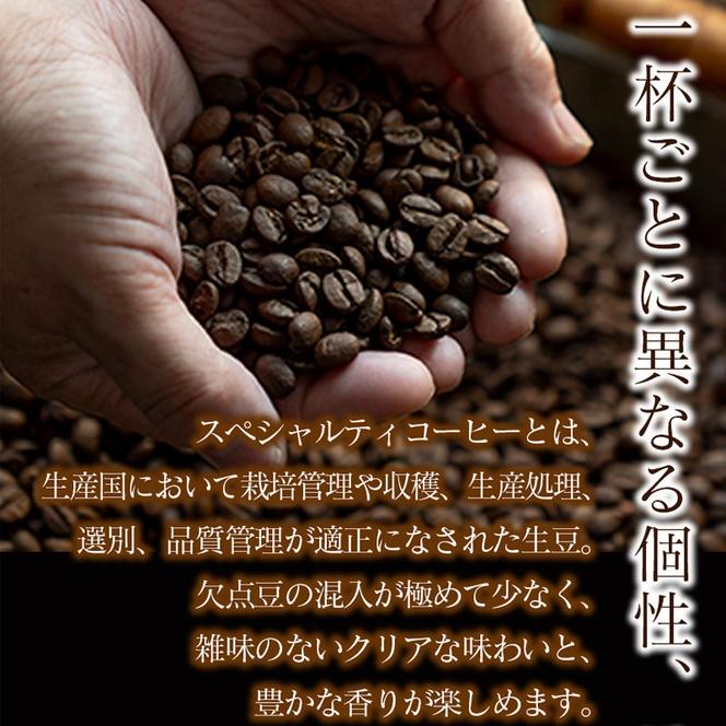 スペシャリティコーヒー詰め合わせセット（パナマゲイシャ100g＋エチオピアゲイシャ200g）【豆】