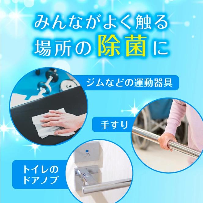 高濃度エタノール除菌79％ウェット300 バケツタイプ本体300枚(本体1個＋詰替1個)