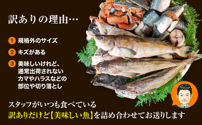 【定期便】北海道産 訳あり 北海道のおさかな屋さんの まかないセット 最大4kg 年４回お届けコース 総重量16kg 