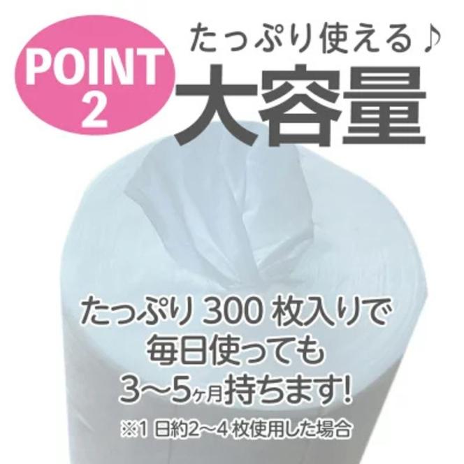 アウトドア専用 除菌バケツウェット 本体300枚入り(本体1個＋詰替1個)